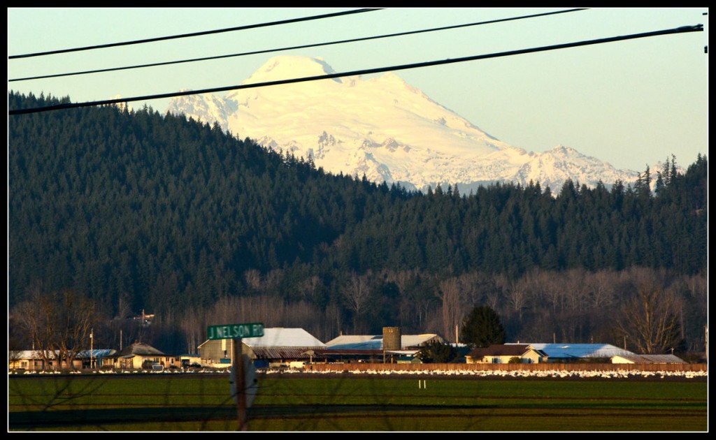 Mt. Baker and farms