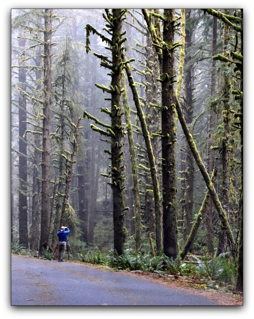 20140302-D-Cannon Beach 2 (134)