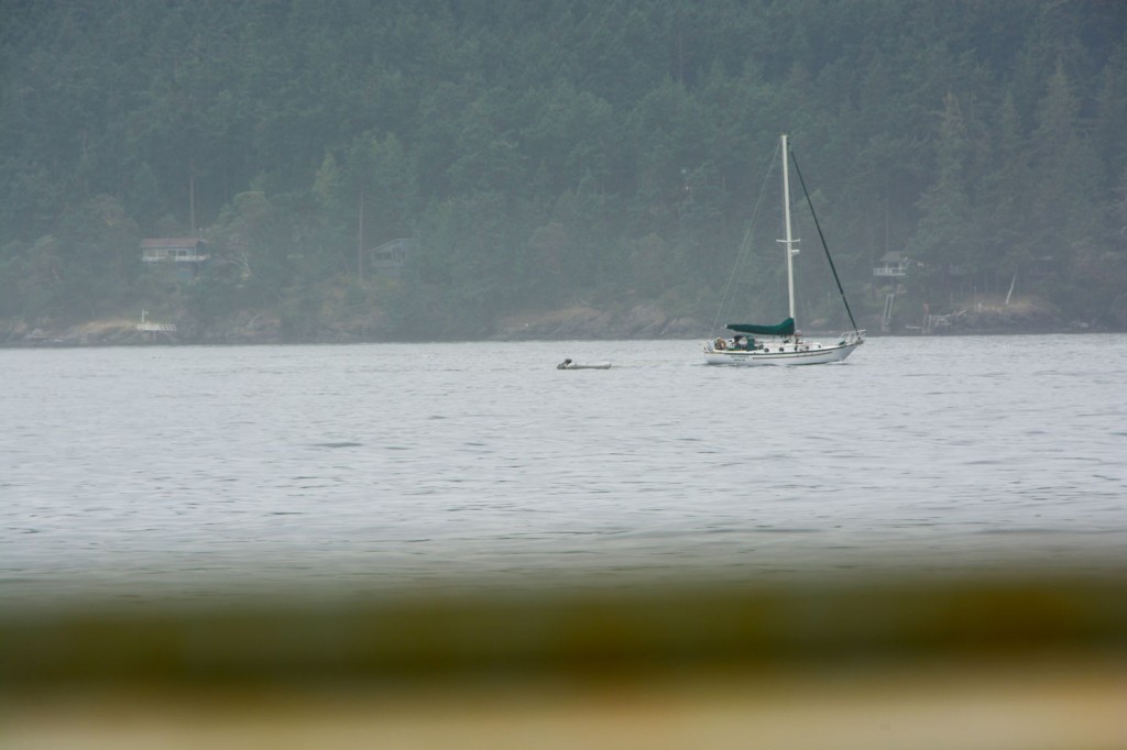 20140816-D71-Orcas-Is-(68)